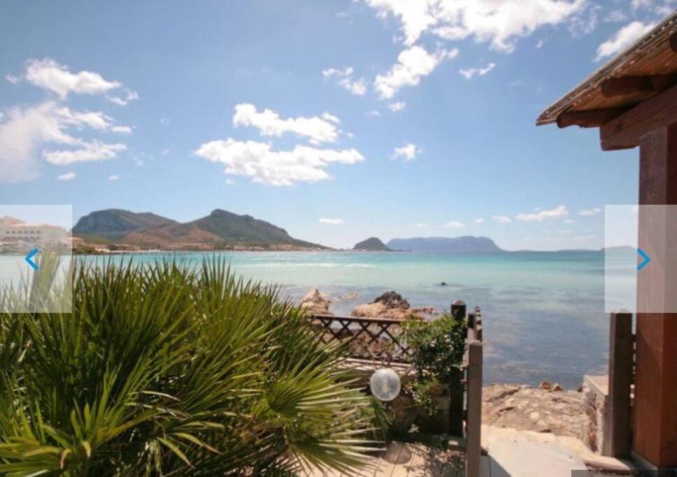 Apartment Pied Dans L'Eau Golfo Aranci Exterior photo